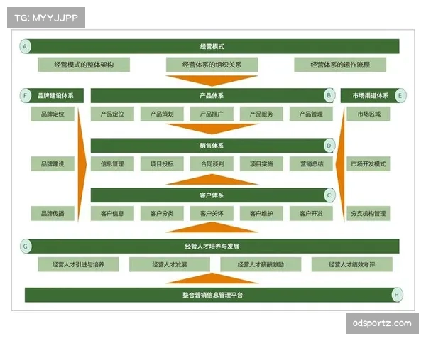 足球发展呈现多极化趋势，不同区域突围逻辑各具特色